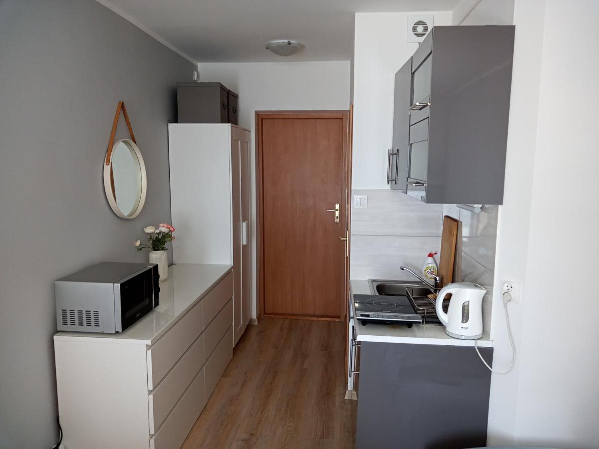 Apartament U Muzykow Крыница-Морска Экстерьер фото
